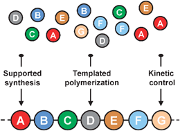 Graphical abstract: Sequence control in polymer synthesis