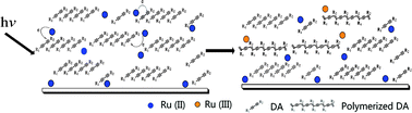 Graphical abstract: Ruthenium(ii) complex-sensitized solid-state polymerization of diacetylene in the visible light region