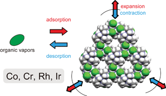 Graphical abstract: Gas-adsorbing ability of tris-ethylenediamine metal complexes (M = Co(iii), Cr(iii), Rh(iii), Ir(iii)) as transformable ionic single crystal hosts