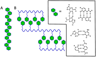 Graphical abstract: Base-pairing mediated non-covalent polymers