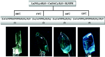 Graphical abstract: Diversification of hydrothermal reaction products induced by temperature: syntheses, structures and properties of four La(iii)–Cu(ii) metal frameworks constructed from rod-shaped molecular building blocks