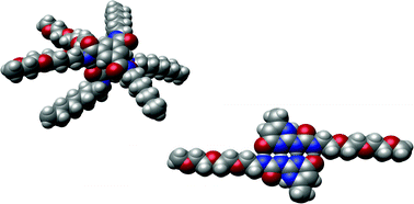 Graphical abstract: The influence of ethylene glycol chains on the thermodynamics of hydrogen-bonded supramolecular assemblies in apolar solvents