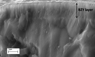 Graphical abstract: Design and fabrication of a chemically-stable proton conductor bilayer electrolyte for intermediate temperature solid oxide fuel cells (IT-SOFCs)