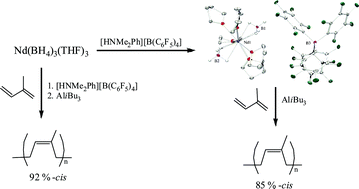 Graphical abstract: Cationic borohydrido–neodymium complex: Synthesis, characterization and its application as an efficient pre-catalyst for isoprene polymerisation