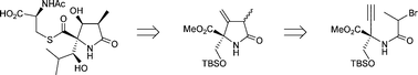 Graphical abstract: A new synthetic approach to (+)-lactacystin based on radical cyclisation of enantiopure α-ethynyl substituted serine derivatives to 4-methylenepyrrolidinones