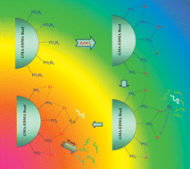 Graphical abstract: Development of phosphopeptide enrichment techniques for phosphoproteome analysis