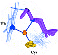 Graphical abstract: Binding of Ni2+ and Cu2+ ions to peptides with a Cys–His motif