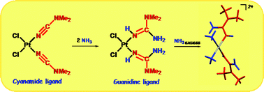 Graphical abstract: Facile cyanamide–ammonia coupling mediated by cis- and trans-[PtIIL2] centers and giving metal-bound guanidines