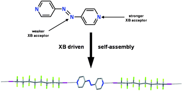 Graphical abstract: Site-selective supramolecular synthesis of halogen-bonded cocrystals incorporating the photoactive azo group