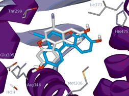 Graphical abstract: New scaffolds for the design of selective estrogen receptor modulators