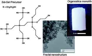 Graphical abstract: Mesoporous dendrimer silica monoliths studied by small-angle X-ray scattering