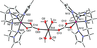 Graphical abstract: The donor ability of the chelated carbonate ligand: protonation and metallation of [(L)Co(O2CO)]+ complexes in aqueous solution