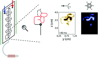 Graphical abstract: Magnetic resonance detection: spectroscopy and imaging of lab-on-a-chip