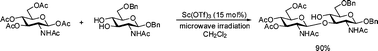 Graphical abstract: Direct formation of β-glycosides of N-acetyl glycosamines mediated by rare earth metal triflates