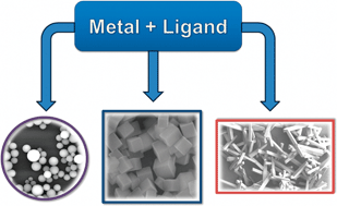 Graphical abstract: Infinite coordination polymer nano- and microparticle structures