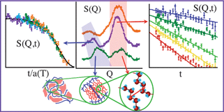 Graphical abstract: Anomalous relaxation of self-assembled alkyl nanodomains in high-order poly(n-alkyl methacrylates)