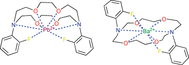 Graphical abstract: Lariat ethers with fluoroaryl side-arms: a study of CF⋯metal cation interaction in the complexes of N-(o-fluoroaryl)azacrown ethers