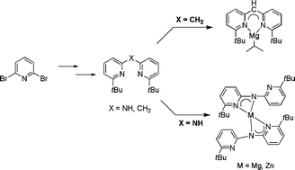Graphical abstract: Synthesis of new dipyridinylamine and dipyridinylmethane ligands and their coordination chemistry with Mg(ii) and Zn(ii)