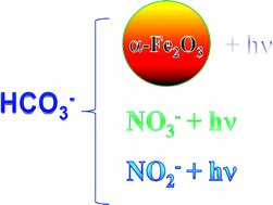 Graphical abstract: Bicarbonate-enhanced transformation of phenol upon irradiation of hematite, nitrate, and nitrite