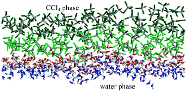 Graphical abstract: Molecular level structure of the liquid/liquid interface. Molecular dynamics simulation and ITIM analysis of the water-CCl4 system