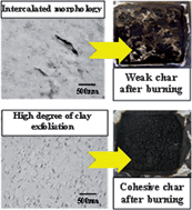 Graphical abstract: Poly(caprolactone)/clay masterbatches prepared in supercritical CO2 as efficient clay delamination promoters in poly(styrene-co-acrylonitrile)