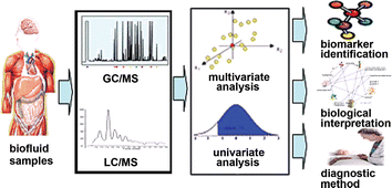 Graphical abstract: Integrated GC–MS and LC–MS plasma metabonomics analysis of ankylosing spondylitis