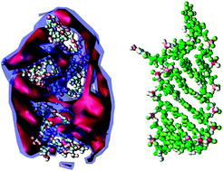 Graphical abstract: Assessing the performance of implicit solvation models at a nucleic acid surface