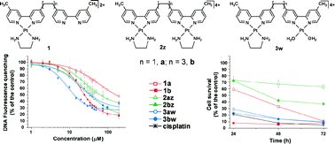 Graphical abstract: New mononuclear and homodinuclear Pt(ii) complexes with heterocyclic nitrogen chelates: Synthesis, characterization, intercalating ability and in vitro cytotoxic activity evaluation