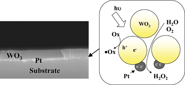 Graphical abstract: Photocatalysis and photoinduced hydrophilicity of WO3 thin films with underlying Pt nanoparticles