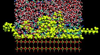 Graphical abstract: Solvent structures of mixed water/acetonitrile mixtures at chromatographic interfaces from computer simulations