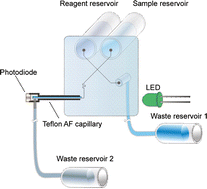 Graphical abstract: Microfluidic chip-based valveless flow injection analysis system with gravity-driven flows