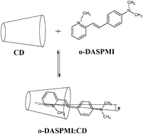 Graphical abstract: Orientational dynamics of a charge transfer complex in cyclodextrin cavity as receptor