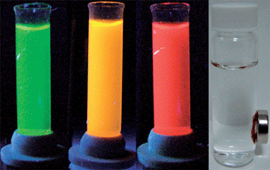 Graphical abstract: Poly(allylamine hydrochloride)–dextran microgels functionalized with magnetic and luminescent nanoparticles