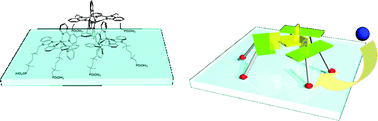 Graphical abstract: Synthesis, electrochemical, and molecular inclusion properties of ‘canopied’ trinuclear ruthenium complexes with six anchoring groups on an ITO electrode