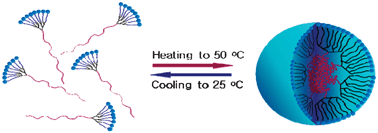 Graphical abstract: Temperature-triggered reversible micellar self-assembly of linear–dendritic block copolymers