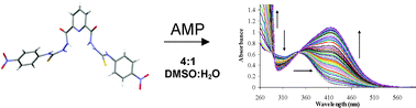 Graphical abstract: Colorimetric sensing of anions in aqueous solution using a charge neutral, cleft-like, amidothiourea receptor: tilting the balance between hydrogen bonding and deprotonation in anion recognition