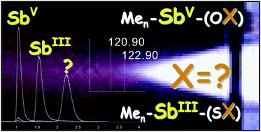 Graphical abstract: Analytical techniques and methods used for antimony speciation analysis in biological matrices