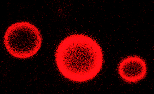 Graphical abstract: Stability and size dependence of protein microspheres prepared by ultrasonication