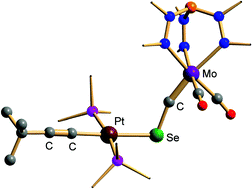 Graphical abstract: Isoselenocarbonyls via acetylenic C–Se activation