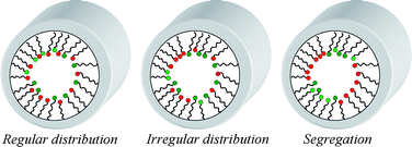 Graphical abstract: Bifunctional ordered mesoporous materials: direct synthesis and study of the distribution of two distinct functional groups in the pore channels