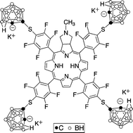 Graphical abstract: Synthesis and biological investigations of tetrakis(p-carboranylthio-tetrafluorophenyl)chlorin (TPFC)