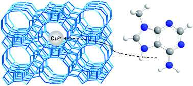 Graphical abstract: Host(beta zeolite)–guest (copper(ii)–methyladenine complex) nanomaterials: synthesis and characterization