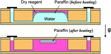 Graphical abstract: A disposable, self-contained PCR chip