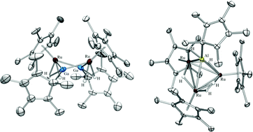 Graphical abstract: Synthesis and structure of electron rich ruthenium polyhydride complexes and clusters containing AlCp* and GaCp*