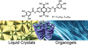 Graphical abstract: Dipole-driven self-assembly of redox-active mesogenic tetracyanoanthraquinodimethanes