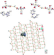 Graphical abstract: Unexpected formation of novel organometallic hetero-cation crystals with a rare coordination mode