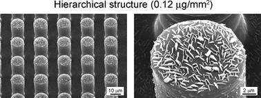 Graphical abstract: Nanostructures for superhydrophobicity and low adhesion