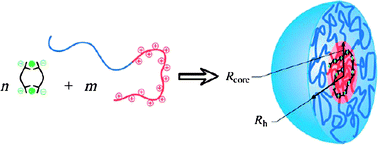 Graphical abstract: Spherocylindrical coacervate core micelles formed by a supramolecular coordination polymer and a diblock copolymer