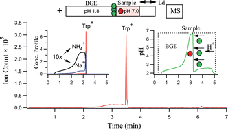 Graphical abstract: New advances in on-line sample preconcentration by capillary electrophoresis using dynamic pH junction