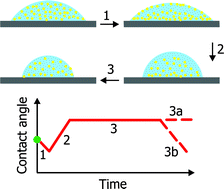 Graphical abstract: Evaporation of sessile water/ethanol drops in a controlled environment